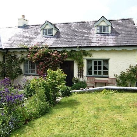 Parc Y Brenin Villa Dryslwyn Luaran gambar