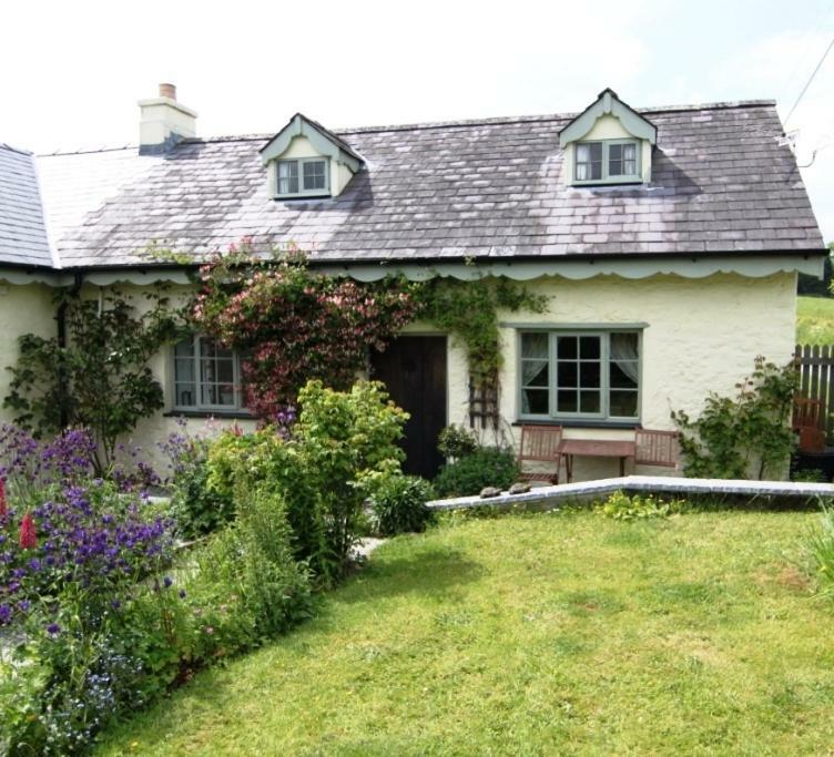 Parc Y Brenin Villa Dryslwyn Luaran gambar